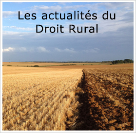 droit rural